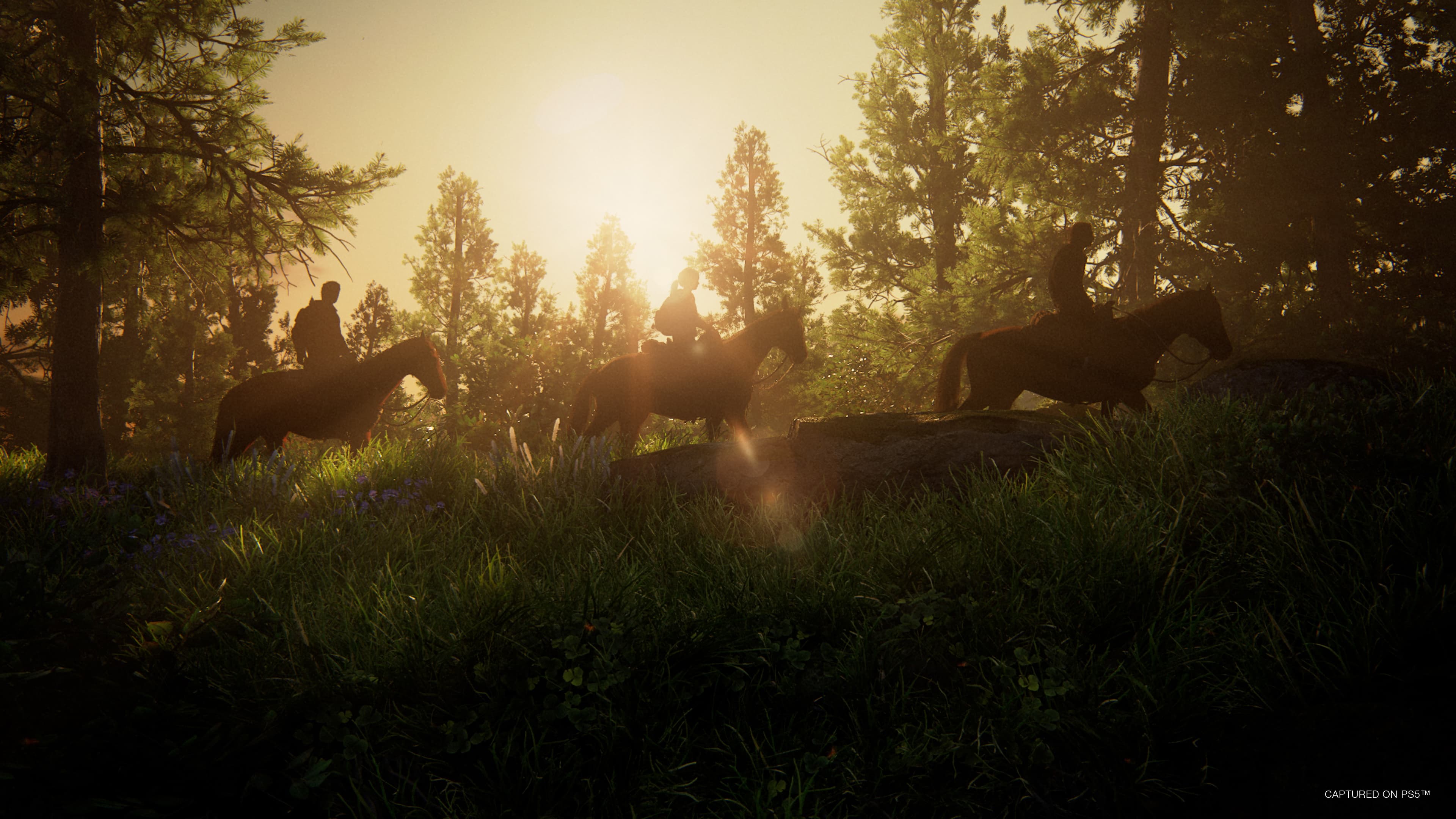 The Last of Us™ Part I - Deluxe Edition – screenshot 9