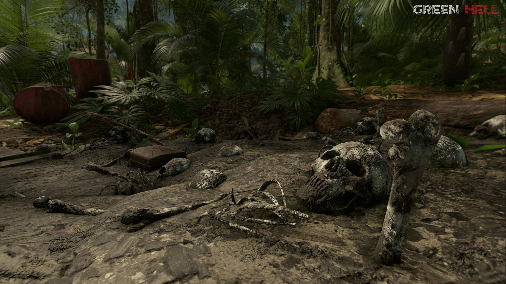 Green Hell - Anniversary Edition – screenshot 2