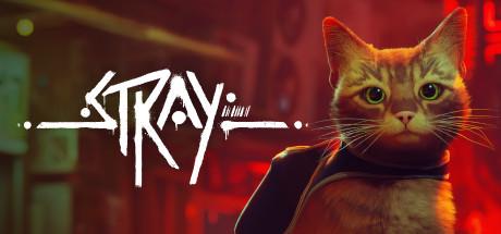 Stray – cover