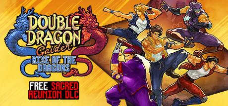 Double Dragon Gaiden: Rise Of The Dragons – cover