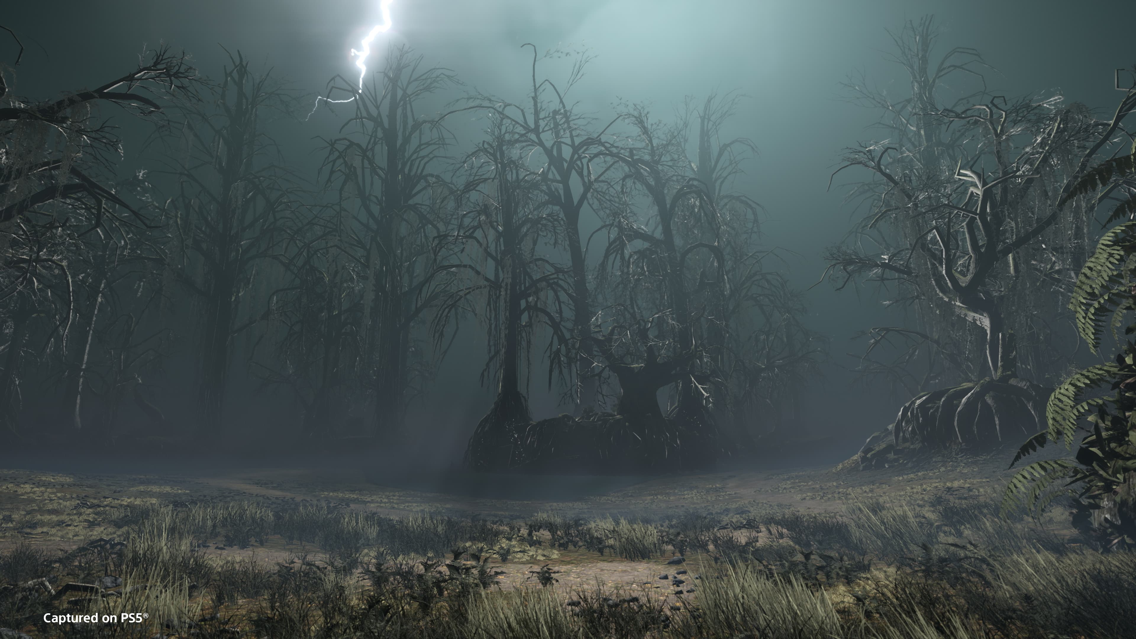HELLDIVERS™ 2 – screenshot 13